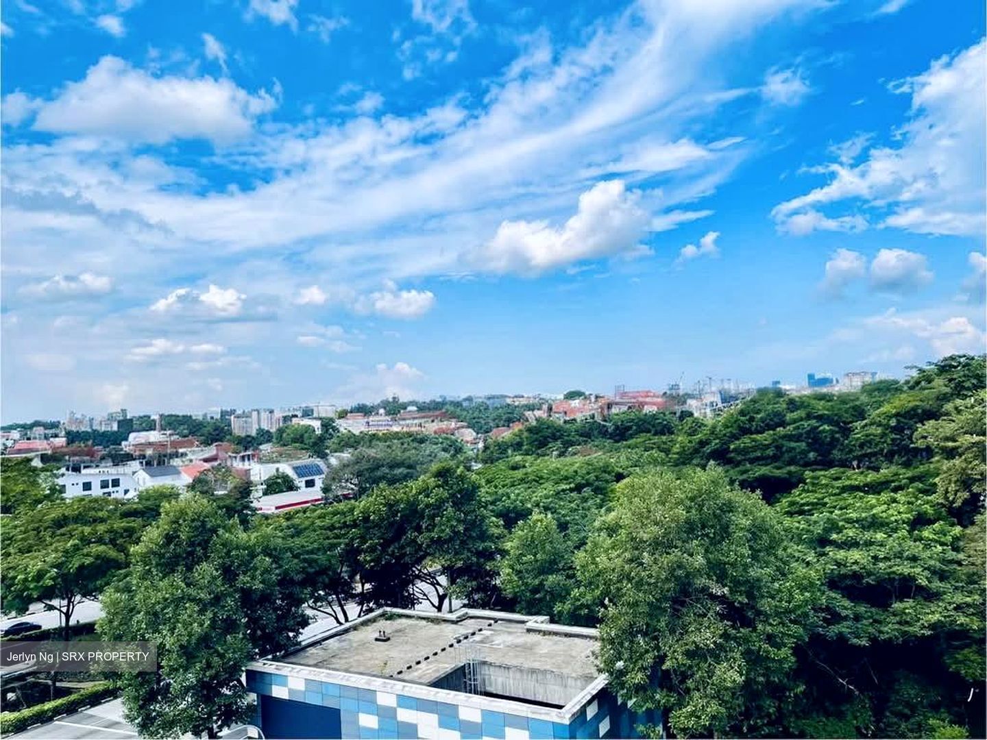 Fourth Avenue Residences (D10), Apartment #533776391